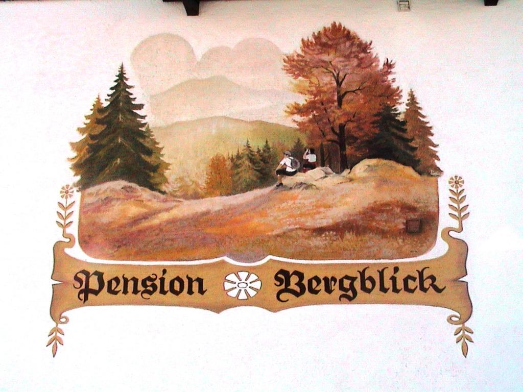 Pension Bergblick Bayerisch Eisenstein Exterior photo